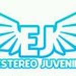 Estereo Juvenil 91.3 Logo