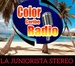 COLOR CARIBE RADIO.COM - LA JUNIORISTA STEREO.COM Logo