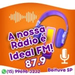 Rádio Ideal 87.9 FM Logo