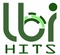 LBI Hits Logo