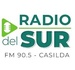 Radio Del Sur Casilda Logo
