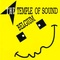 The Temple Of Sound Belgium Logo