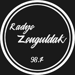 Radyo Zonguldak 98.7 Logo