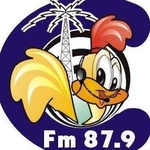 Rádio Canta Galo FM Logo