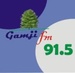 Gamji Fm 91.5 Logo