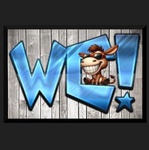 Wild Country Logo