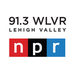 91.3 WLVR - WLVR Logo