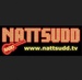 Radio Nattsudd Logo