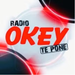 Radio Okey 91.9FM Logo