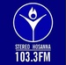 Stereo Hosanna 103.3 Logo