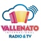 Vallenato Internacional Radio Logo