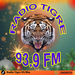 Radio Tigre 93.9 Logo