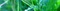 ROFL Radio Logo