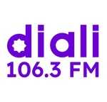 Radio Diali 106.3FM - CKIN-FM Logo