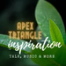 Apex Triangle Inspiration Logo
