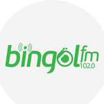 Bingöl FM Logo