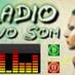 Radio Novo Som Logo