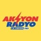 Aksyon Radyo La Union 783 - DZNL Logo