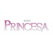 Rádio Princesa Logo