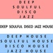 Deep Soulful Disco Jazz House Radio Logo