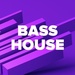 DFM - Bass House Logo