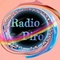 Radio PIRO Logo