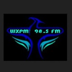 COOL 985 - The Heat Logo