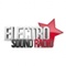 Electro Sound Radio Logo