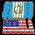 Sonido Arriola Logo