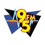 Rádio Viçosa 95 FM Logo