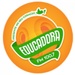 Rádio Educadora Santana FM Logo