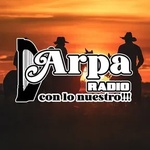 DJ Angel Disc - ARPA RADIO Logo