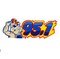 The HAWG 95.1 FM - WLEE Logo