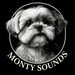Monty Sounds Radio Logo