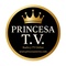Princesa Stereo Logo