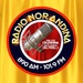 Radio Nor Andina Logo