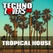 Technolovers.fm - Tropical House Logo