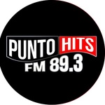 Punto Hits FM 89.3 Logo