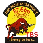 TBS The BULL Logo