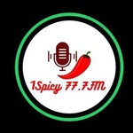 1SPICYFM Logo