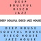 Deep Soulful Disco Jazz House Radio Logo