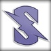 Teamstoned Logo
