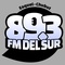 FM Del Sur 89.3 Logo