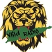 ViiLD SOCA Logo