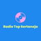 Rádio Top Sertaneja Logo