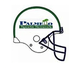 Palmetto Sports Network Logo