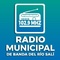 Radio Municipal Logo
