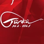 Radyo Vatan Türkü Logo
