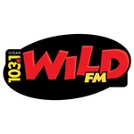 Wild FM Iligan - DXIL Logo