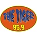 The Tiger 95.9 - WTGZ Logo